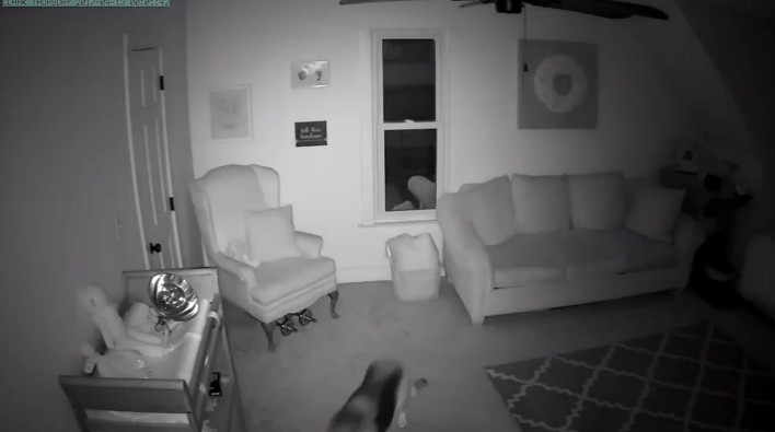 監視器拍到「狗姊姊在半夜2點溜進寶寶房」，接著的畫麵證明父母沒有把狗狗送走是正確的決定！ 