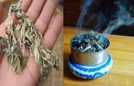 泡過的「茶葉」或「茶包」不要扔了！把它放在這裡，老鼠、蟑螂、蚊子再也不來你家了！