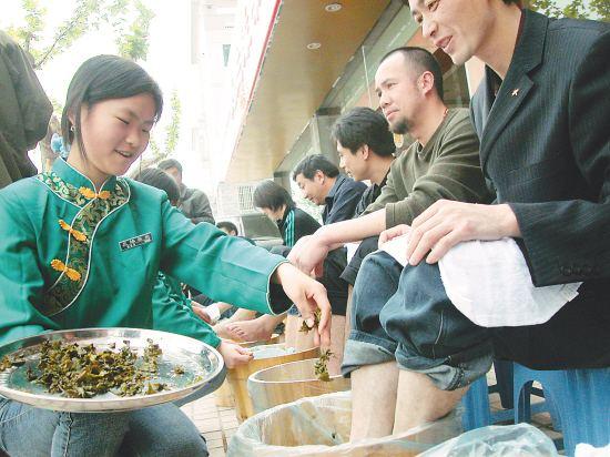 泡過的「茶葉」或「茶包」不要扔了！把它放在這裡，老鼠、蟑螂、蚊子再也不來你家了！