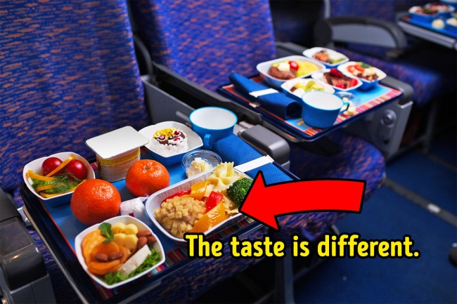 揭秘飛機餐難吃的原因…16個「機師希望大家上飛機之前都知道」的小知識！
