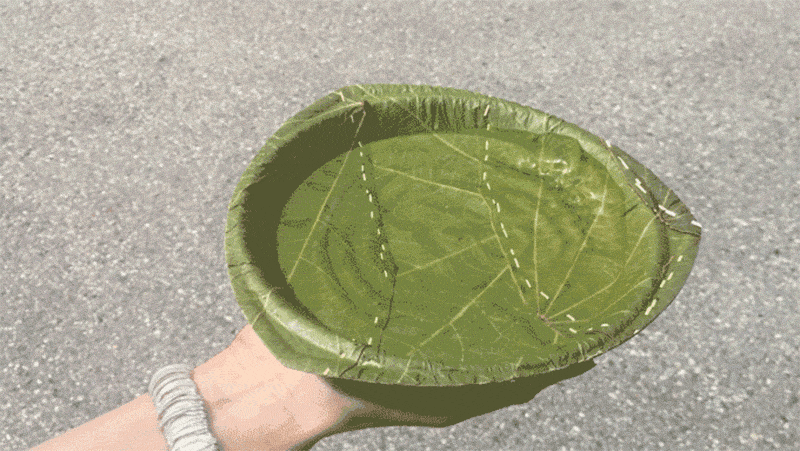 厲害了Word哥！ 德國人把葉子做成了一次性盤子，比塑料盤降解快20個世紀！