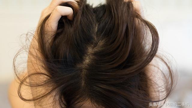 頭皮總是長疙瘩和膿包，到底是什麼原因引起的？