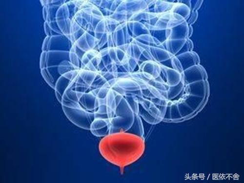 男性惡性疾病膀胱癌的四大症狀與病因，發現血尿及時就醫