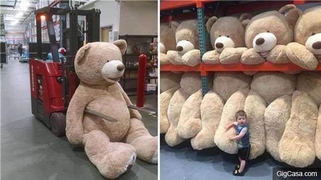網友在好市多買了一隻236公分的巨熊布偶不知道怎麼帶回家，看到他聰明的運送方式大家都笑瘋了！