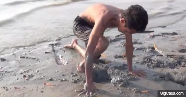 男子在海邊發現兩個大小不一的洞，最後抓出來的東西小夥伴驚呆了