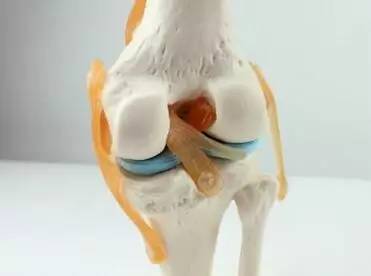 膝蓋不好走路總是疼痛，每天3個小動作，讓你膝蓋越用越年輕，這才是最靈的方法