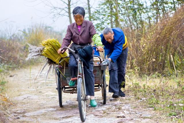 孫子彌月我給百元零錢，兒媳嫌少讓我拿回家養雞，到家我老淚縱橫