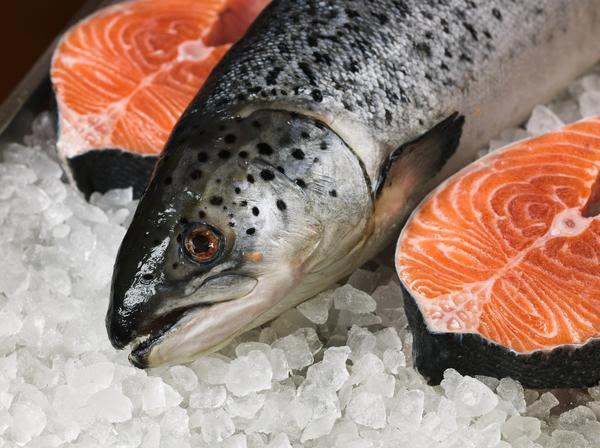 常吃海鮮可以補充蛋白質！但是，這3類人吃就是找罪受