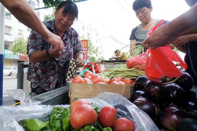 賣菜老太偷助孤寡，每天「剩菜」扔進垃圾區，小男孩偷摸撿走