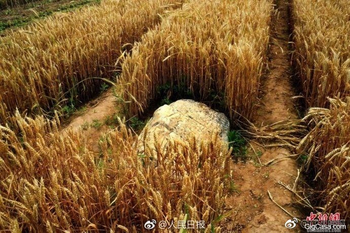 中國「最矮的山」只有60cm高！到底是石頭還是山？村民往下挖發現「大自然奇蹟」！