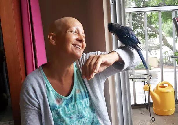 世上最暖報恩！3年前她救了一隻鳥，患癌後鳥兒竟救活姑娘！