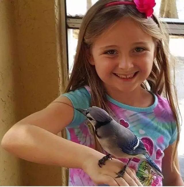 世上最暖報恩！3年前她救了一隻鳥，患癌後鳥兒竟救活姑娘！