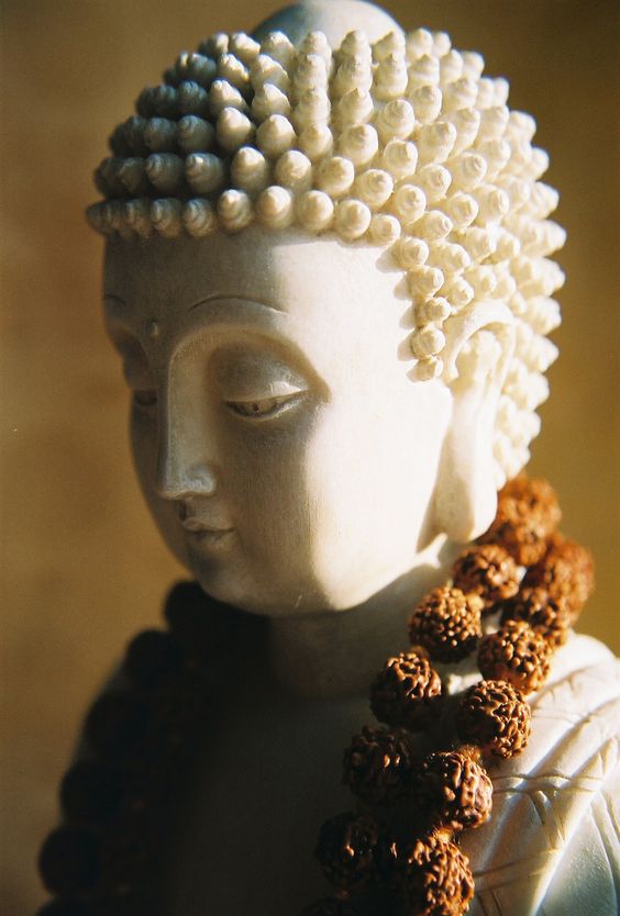 lotusunfurled: Rudraksha Buddha (by BehindTheScenes2006)