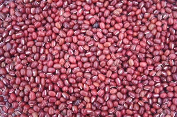 Red Beans. Adzuki Beans Or Red Mung Beans Stock Photo, Picture And ...