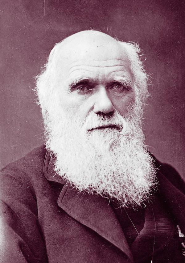 Charles Darwin Darwin was a quiet man who enjoyed solitude.