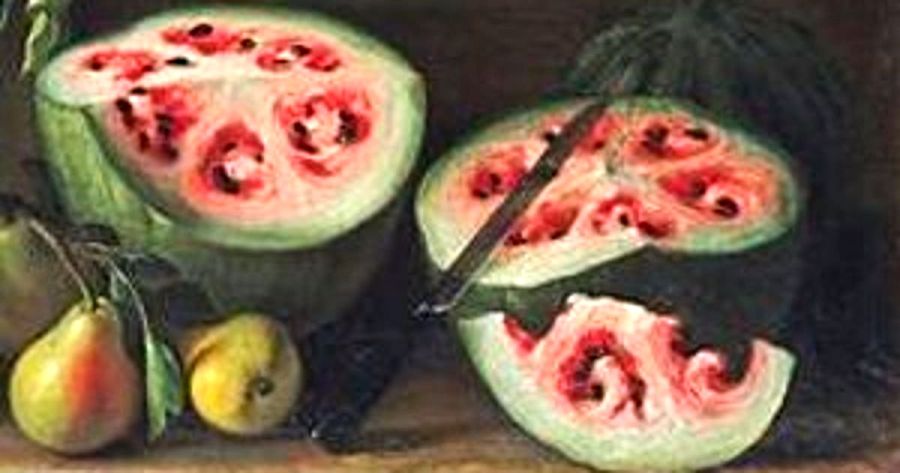 0910-wild-watermelon