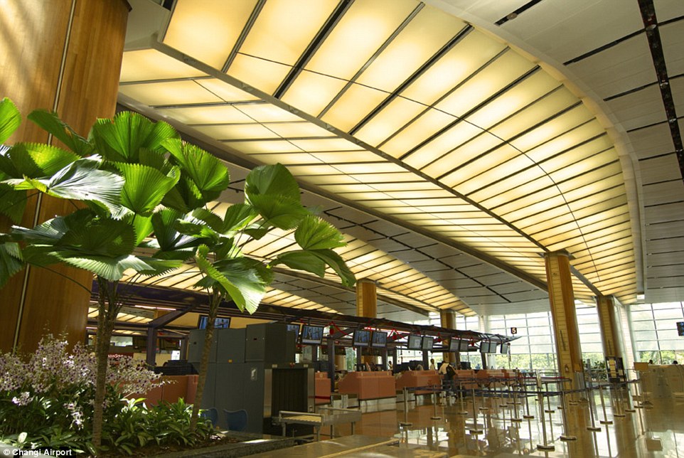 The airport is decked out with native plants, and the new development will add even more lush green inside
