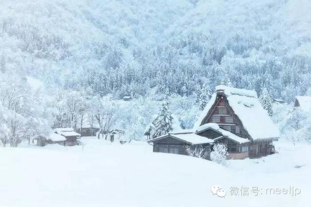 冬季去日本旅行必備常識