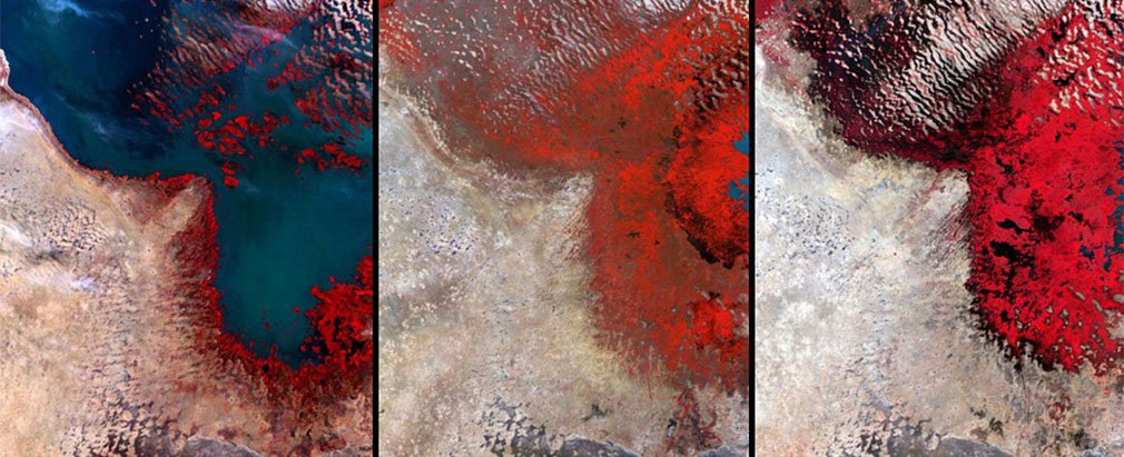 8. 非洲查德湖 (Lake Chad)，在1960年代，它還是全世界第6大的湖泊，卻在2002年縮水至只有它原來12分之1的大小，湖泊慢慢消退變成紅色的沼澤。<!-- 電腦板-文章內插廣告-336X280 -->
<br><br>
<div align=