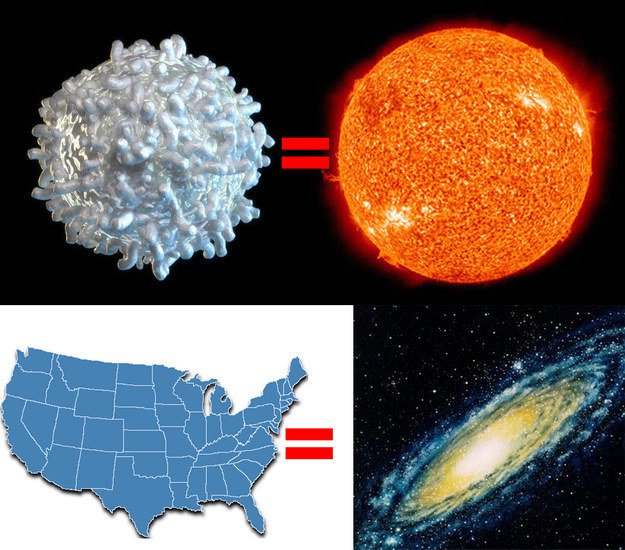 但先前提及的一切都不及一個銀河係的巨大，如果你把太陽縮小到一個白血球細胞的大小，按照比例，銀河係就會是美國的大小。<BR><BR>