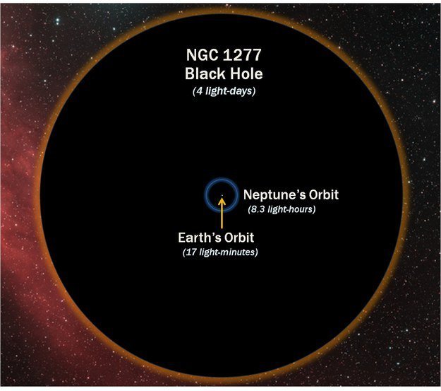 這是一個黑洞軌道與地球軌道比例的對照。<BR><BR>