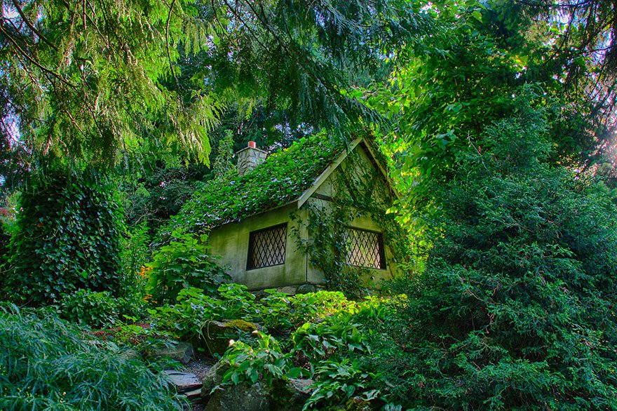 4. 森林幽靜小屋 (裡面應該住著哈比人吧？)