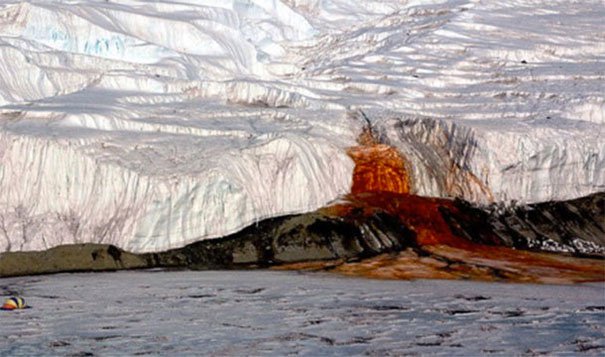 22. 淌血的冰川：在南極(Antarctica)，氧化的鐵會讓水看起來是流出來的血，這血被稱為「血瀑布」(Blood Falls)。<BR><BR>