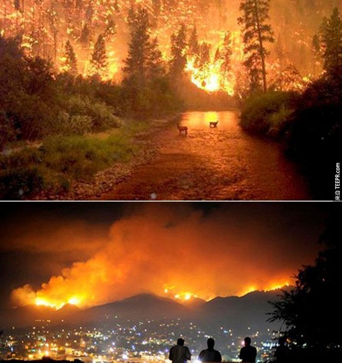 6）在加州的歷史上最大和最致命的野火，2009（美國）