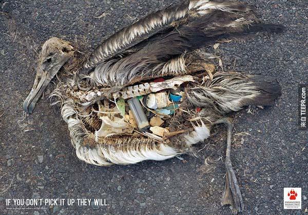 12.) 鳥類保護運動 －如果你不撿起你的垃圾的話，他們就會撿起來。<BR><BR>