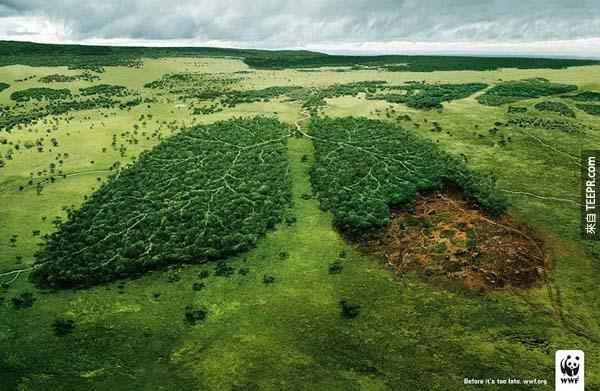32.) 森林砍伐會改變我們的空氣。<BR><BR>