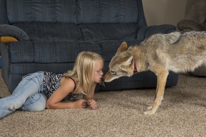 這名小女孩看到爸爸撿回來的流浪狗時超開心的，但後來才發現這「不是隻正常的狗狗」...