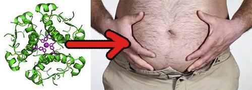 想減少體脂肪儲存，先從控製好胰島素開始！