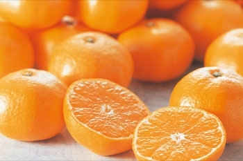 關於橘子減肥法⋯⋯