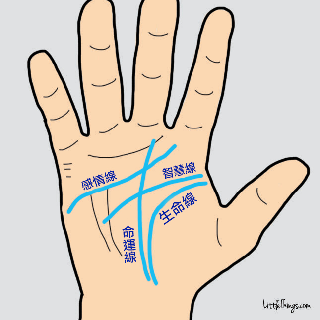 现在,请伸出你的惯用手,依照下面这张图片对照出生命线,智慧线,感情