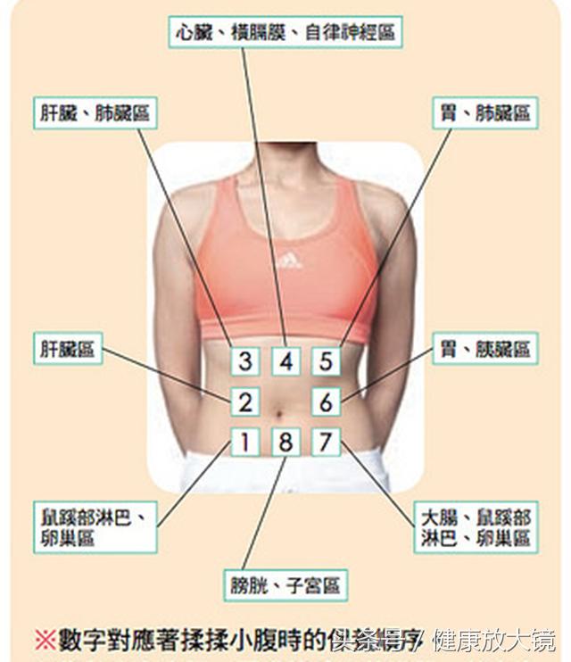 每天1分鐘揉小腹能治病，90%的疾病，都由腹部造成！