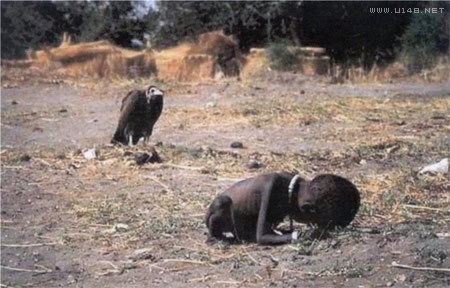 非洲的秃鹫等待吃小孩的尸体~~等小孩咽气之后将小孩吃掉