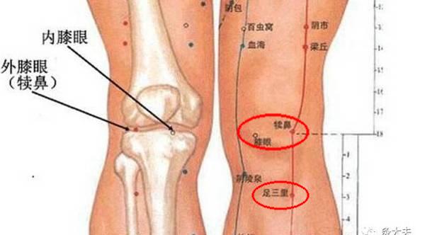 雞蛋清加中藥，治療關節病有奇效，誰用誰說好，好方趕緊收藏