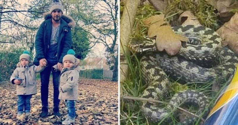 這個爸爸為了救孩子被毒蛇咬了一口，接著癱瘓的他只能絕望看著毒蛇靠近2歲兒子…