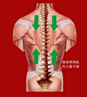 再難治的失眠，一套「葵花點穴手」就能讓你安然入睡！