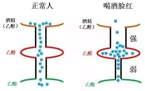 關愛你的肝臟和腎臟，如果身體出現這些症狀就不能再喝酒了！