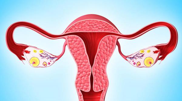 要想卵巢好，這10條生理常識，女性必須要知道！