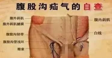 每天按摩大腿內側，兩周後，有你意想不到的效果！