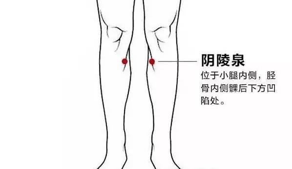 濕氣重造成體內毒素瘀積，教你「這三招」巧妙除濕，一身輕鬆！