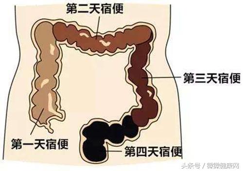 蜂蜜加它一起吃，對便秘有奇效，效果顯而易見，不信你試試