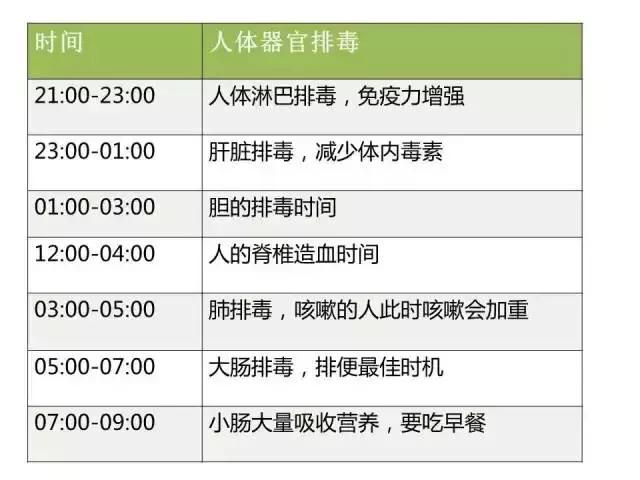 肝有肝毒、肺有肺毒，「人體排毒時刻表」到底是不是謠言？