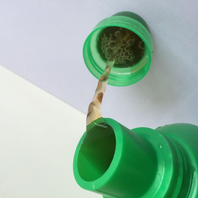 花草招蟲怎麼辦？10年老花農往盆裏撒點料，不用農藥徹底消滅 !