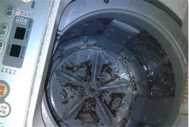洗衣機三個月不清洗，細菌比下水道還髒，你還在用它洗衣服嗎？一個土方法，去汙乾淨又殺菌