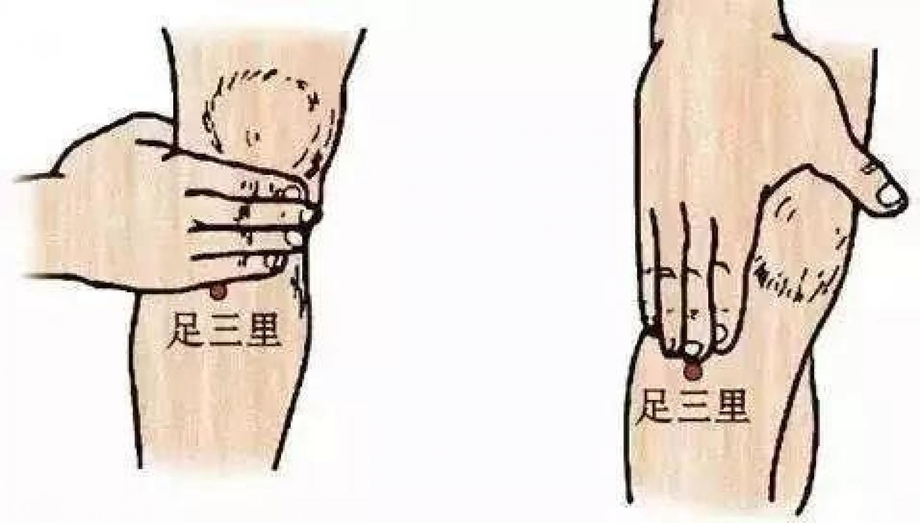 从中医理论上讲,早晨7~9点主胃经,胃经在中医经络里被称作「长寿经」