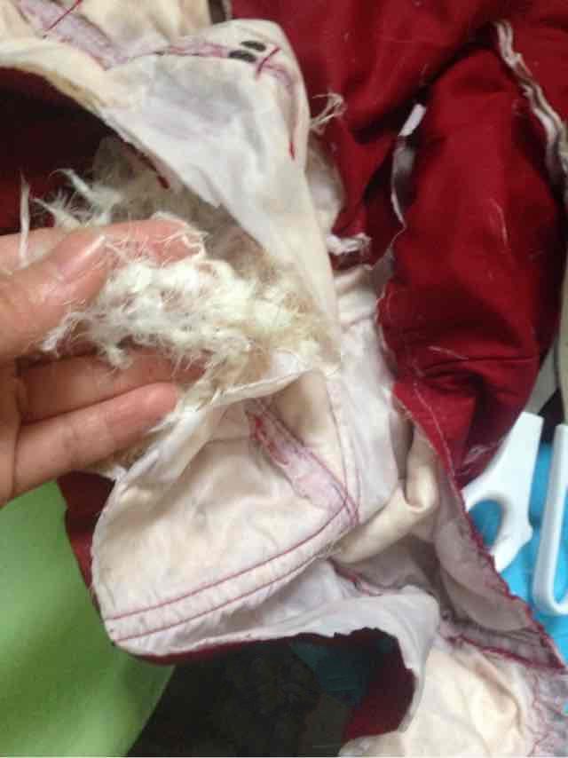 sponsored ads sponsored ads 只需要把旧的羽绒服裏的羽绒给拆出来