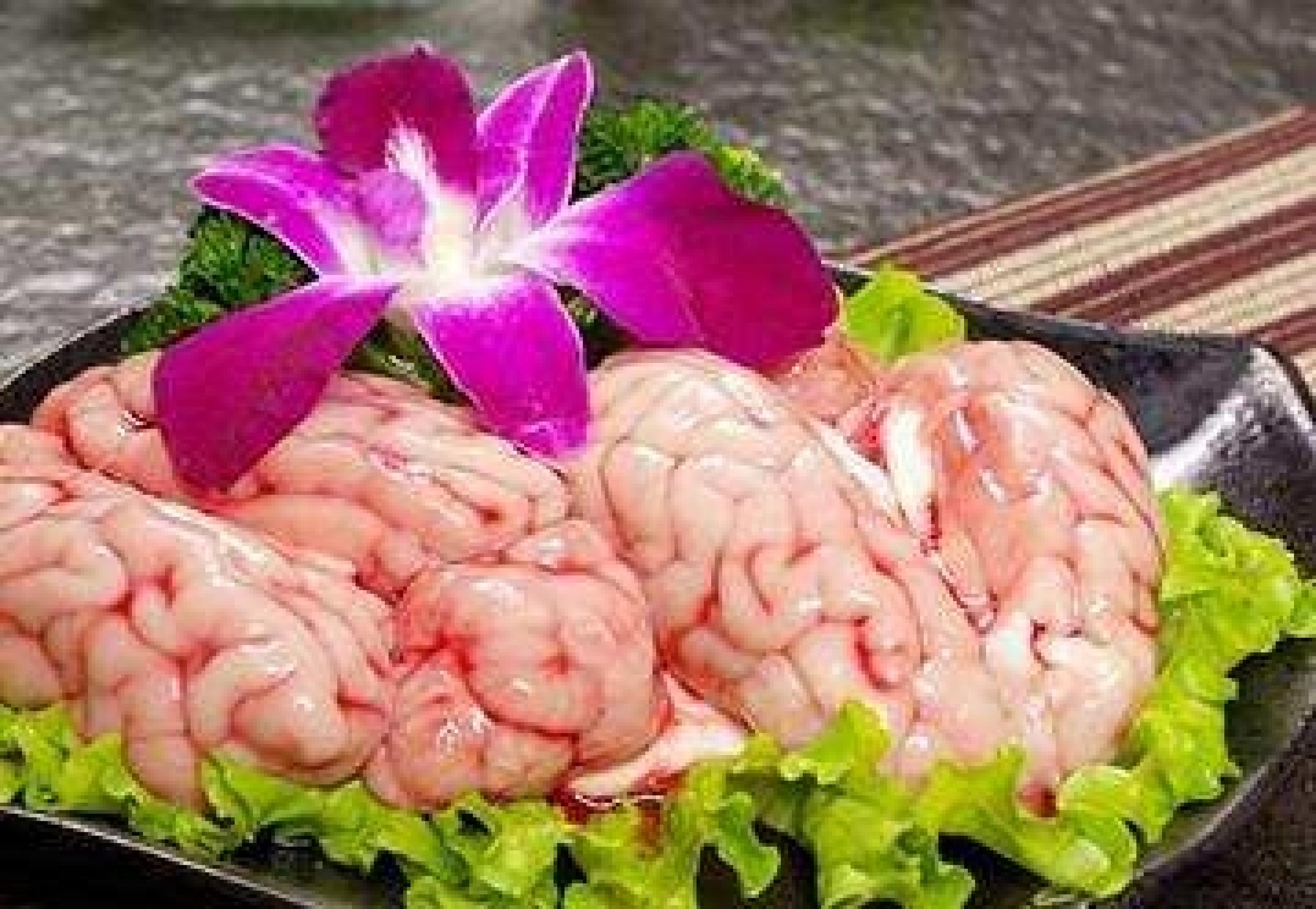 1个猪脑能满足人体10天所需胆固醇